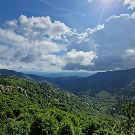 Au Mont-lozere - Chantegrive シャレー Pourcharesse