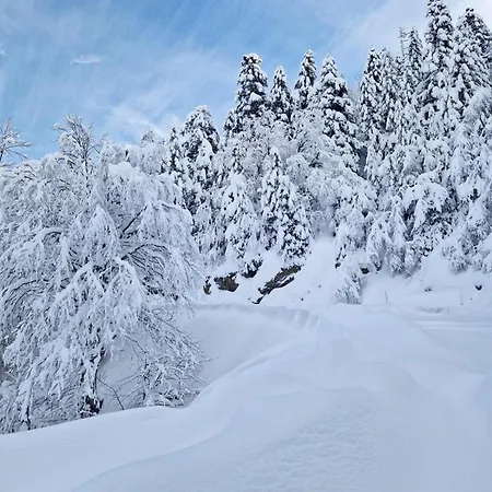 Alpehytte Au Mont-lozere - Chantegrive